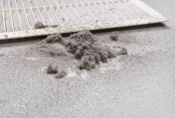 Best Air Duct Cleaning Near Me  in Lost Hills, CA
